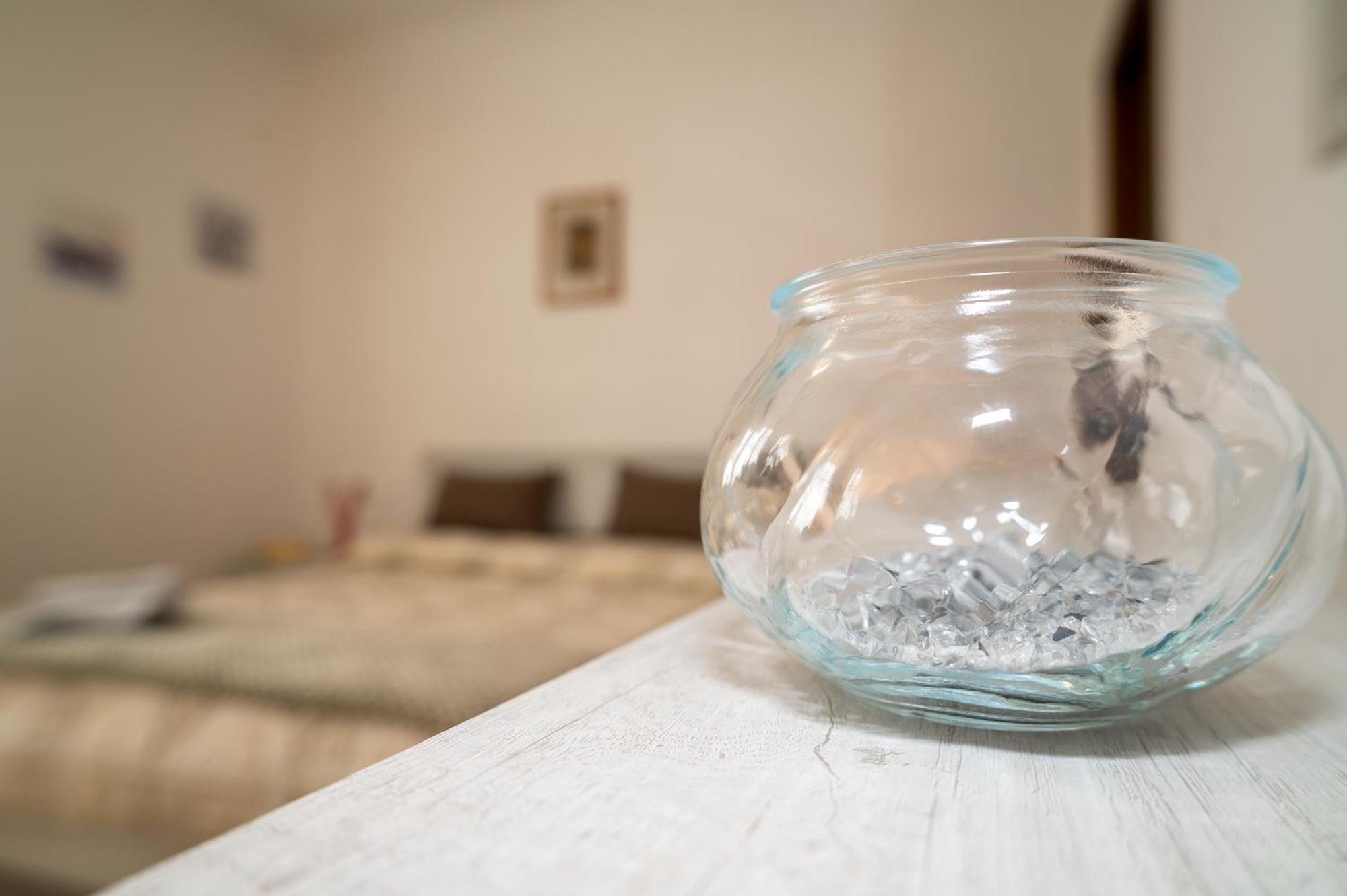 Casa Vacanze Dalla Ci Capezzano Pianore Zewnętrze zdjęcie